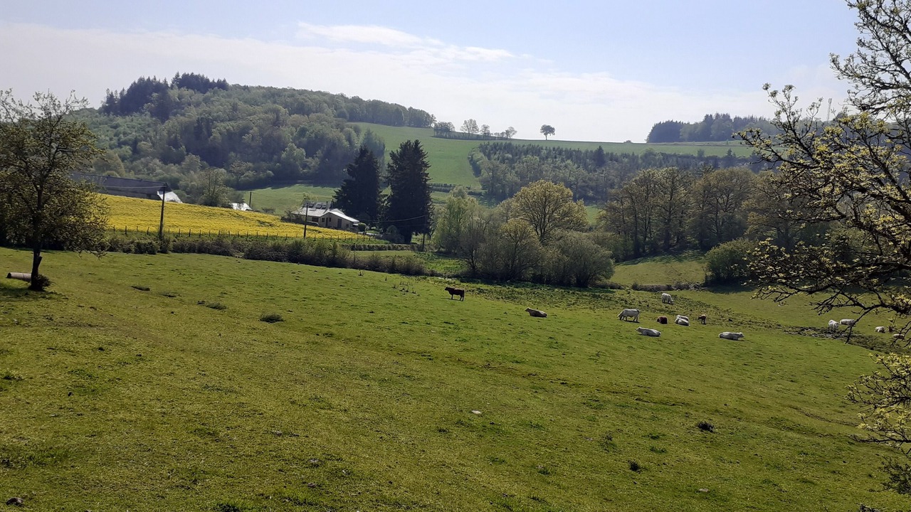 Photo of Others in Moux-en-Morvan