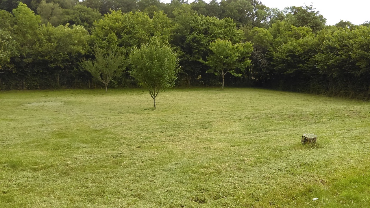 Photo of Others in Moux-en-Morvan