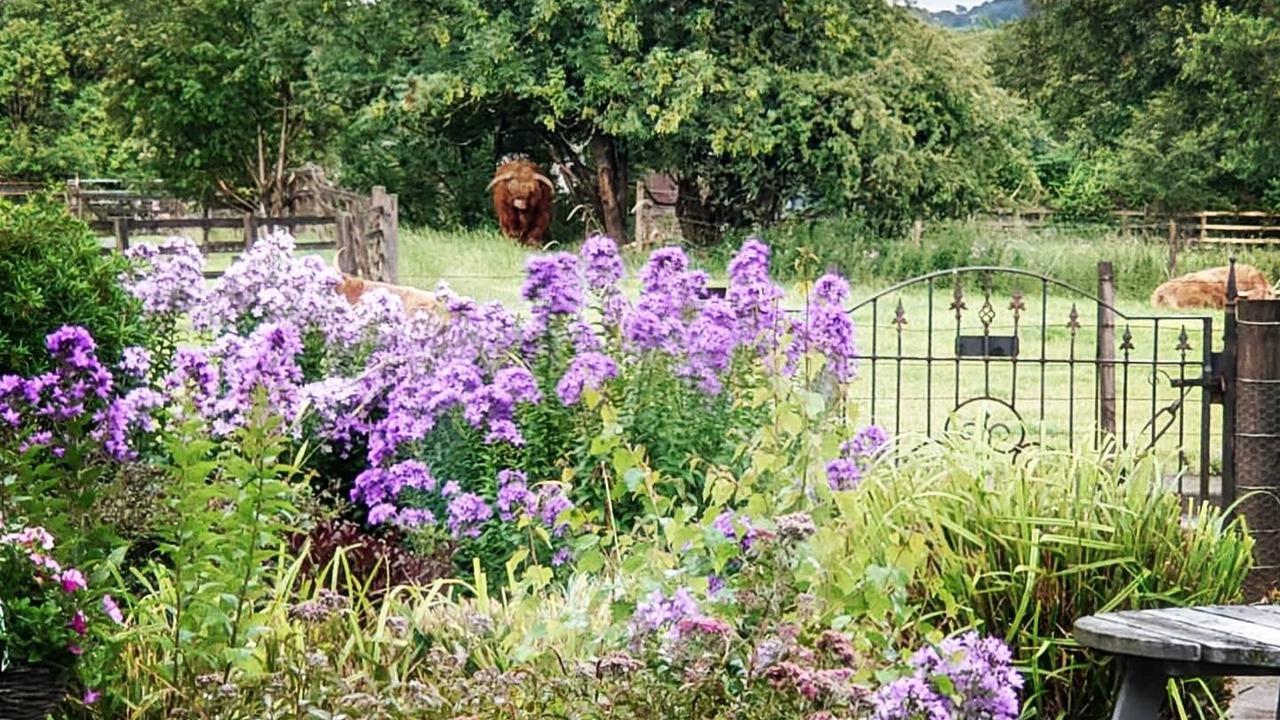 Photo of Outdoor in Alva