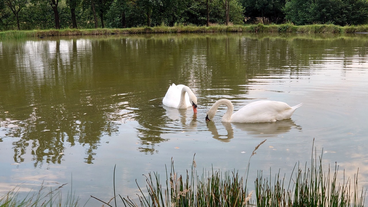 Photo of Outdoor in Alva