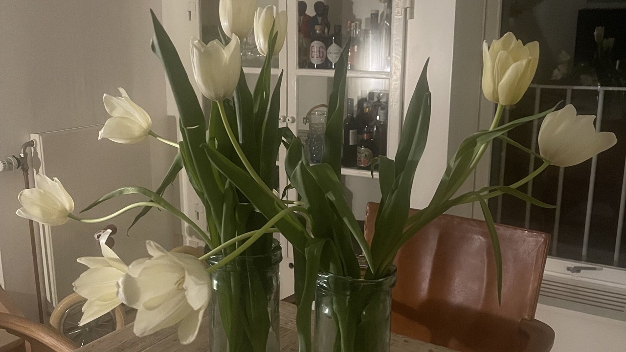 Photo of Others in Gentofte Municipality