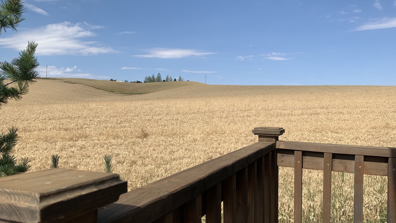 Photo of Outdoor in Moscow