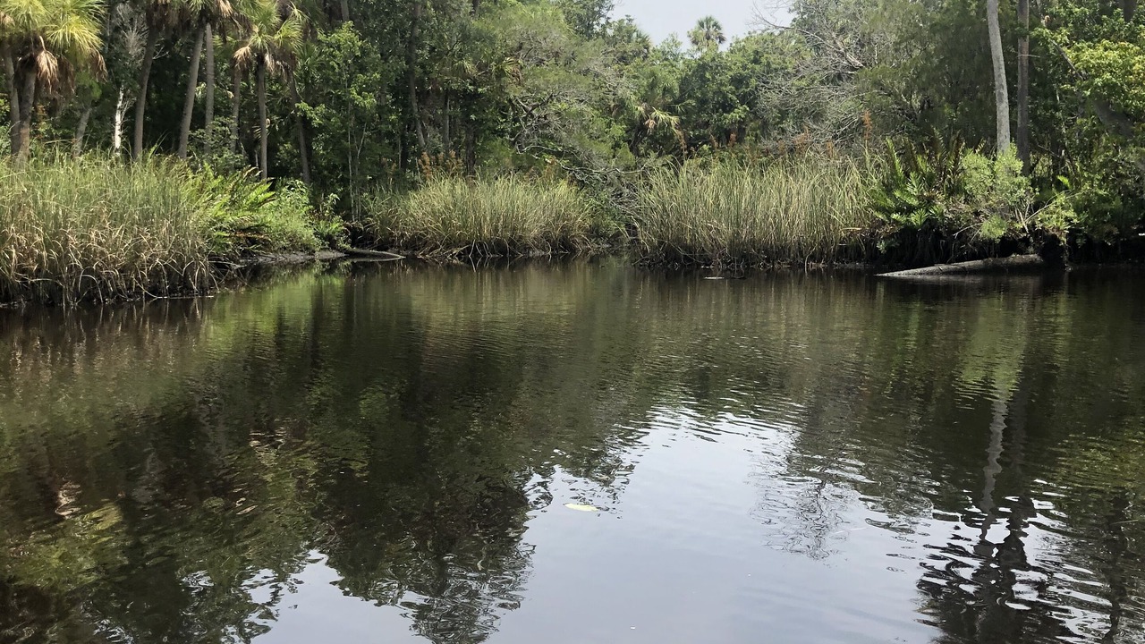 Photo of Others in Tropic Shores