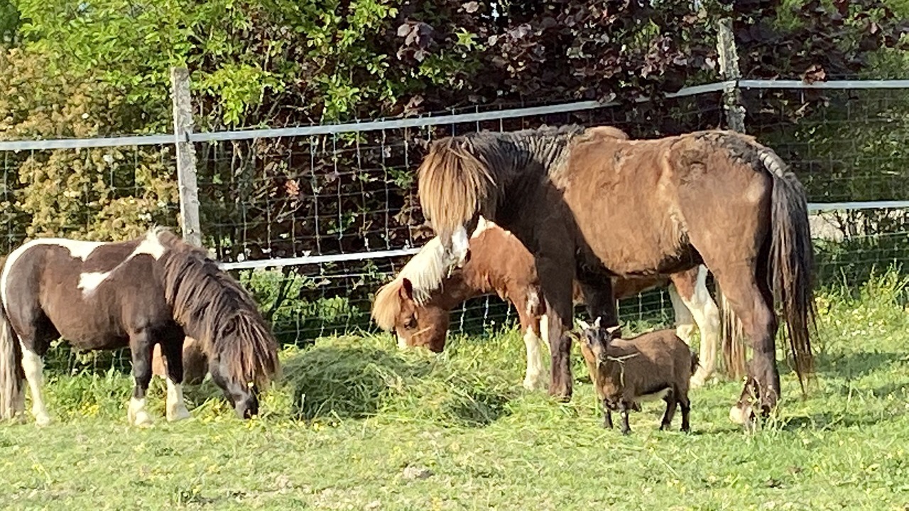 Photo of Outdoor in Larroque-sur-l'Osse