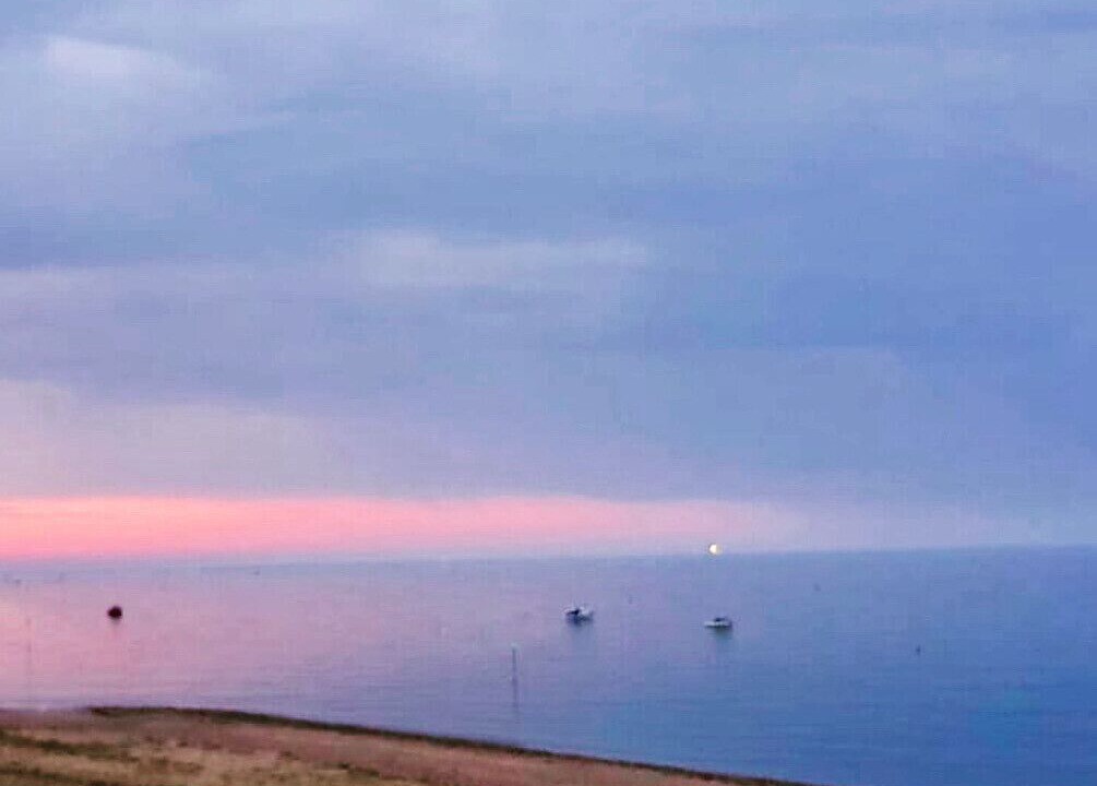 Photo of Patio Balcony in Southend-on-Sea