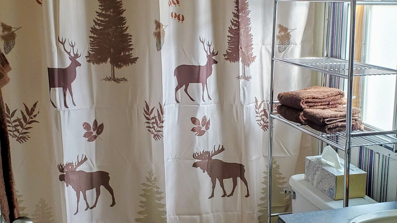 Photo of Bathroom in Eagle Nest