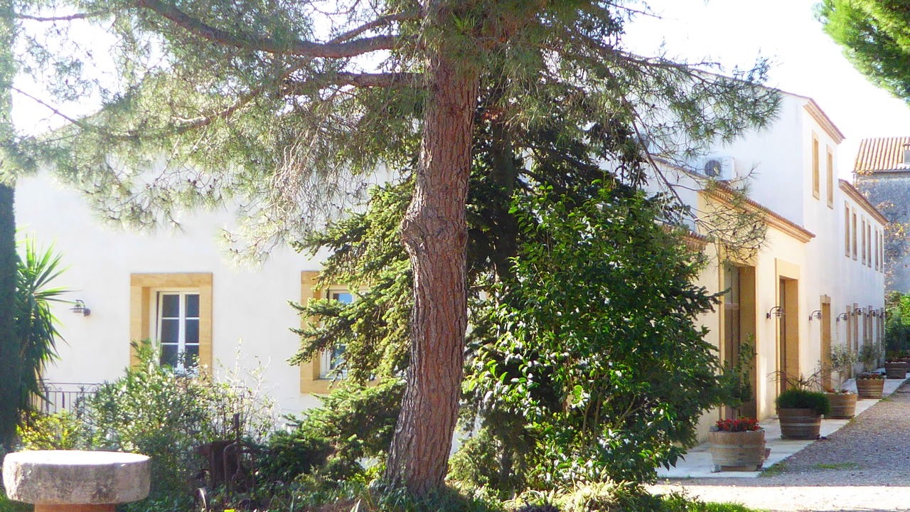 Photo of Outdoor in Salleles-d'Aude