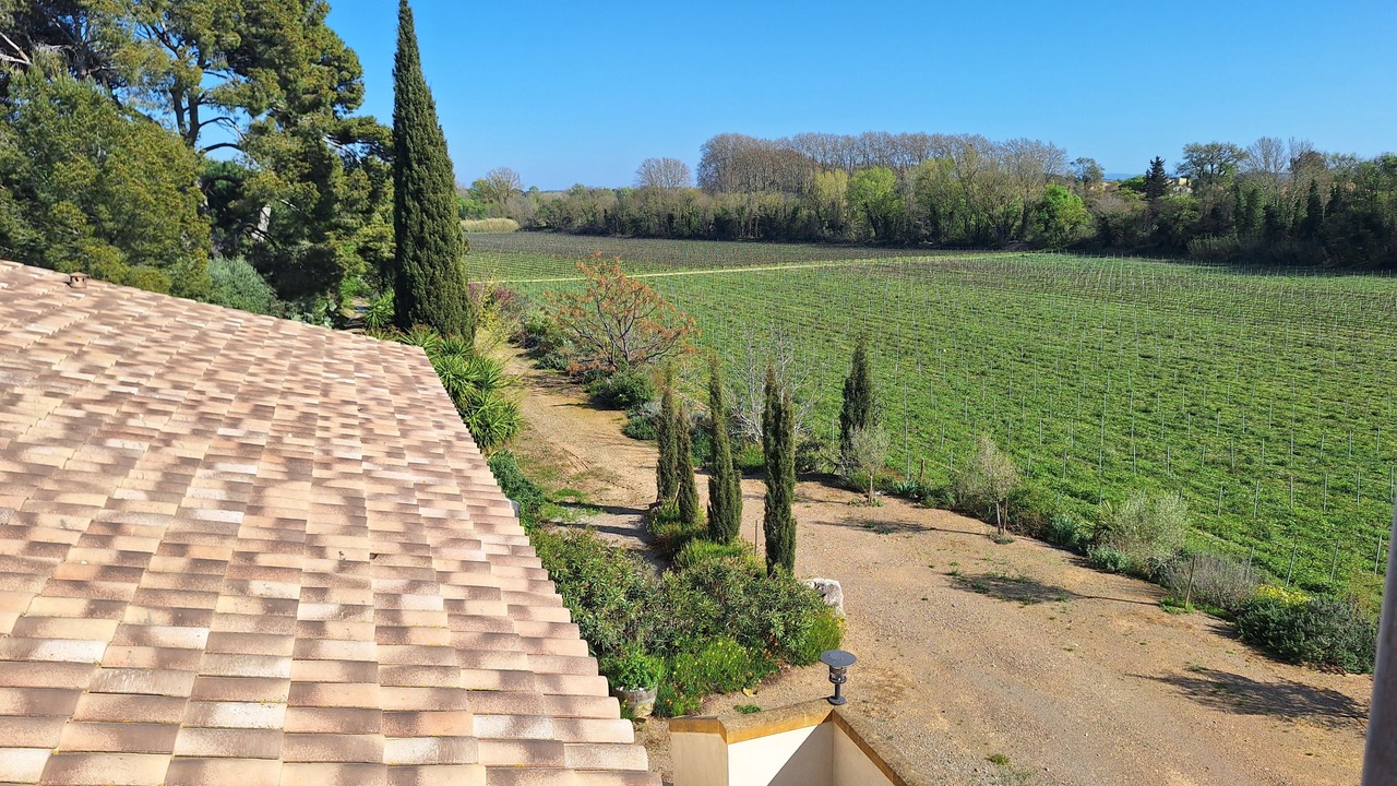 Photo of Outdoor in Salleles-d'Aude