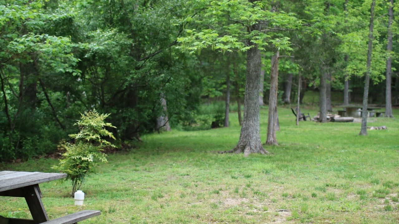 Photo of Others in Luray