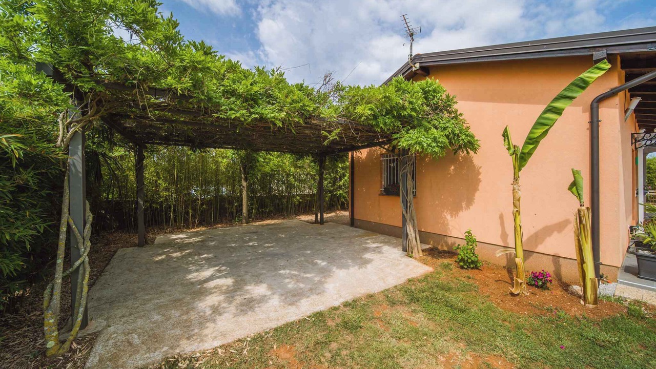 Photo of Outdoor in Musalez