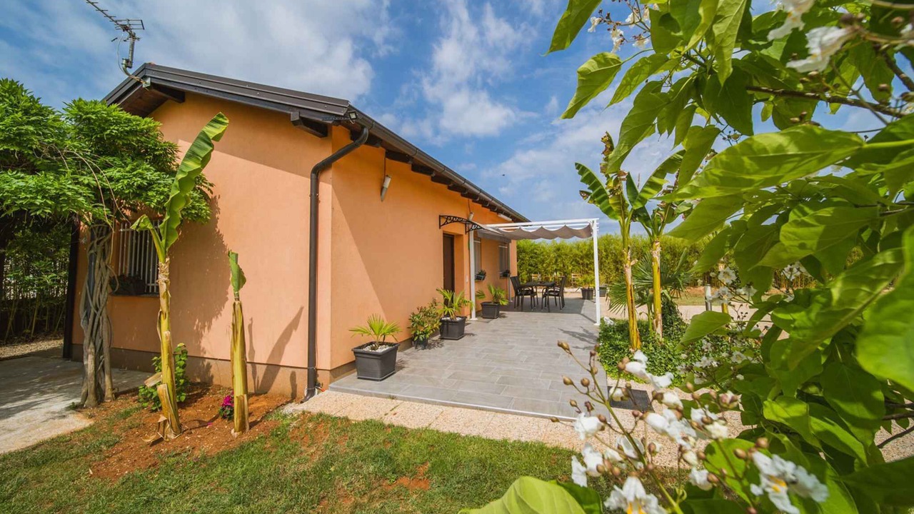 Photo of Outdoor in Musalez