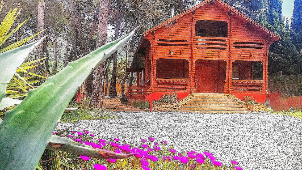Photo of Outdoor in Puebla Tornesa
