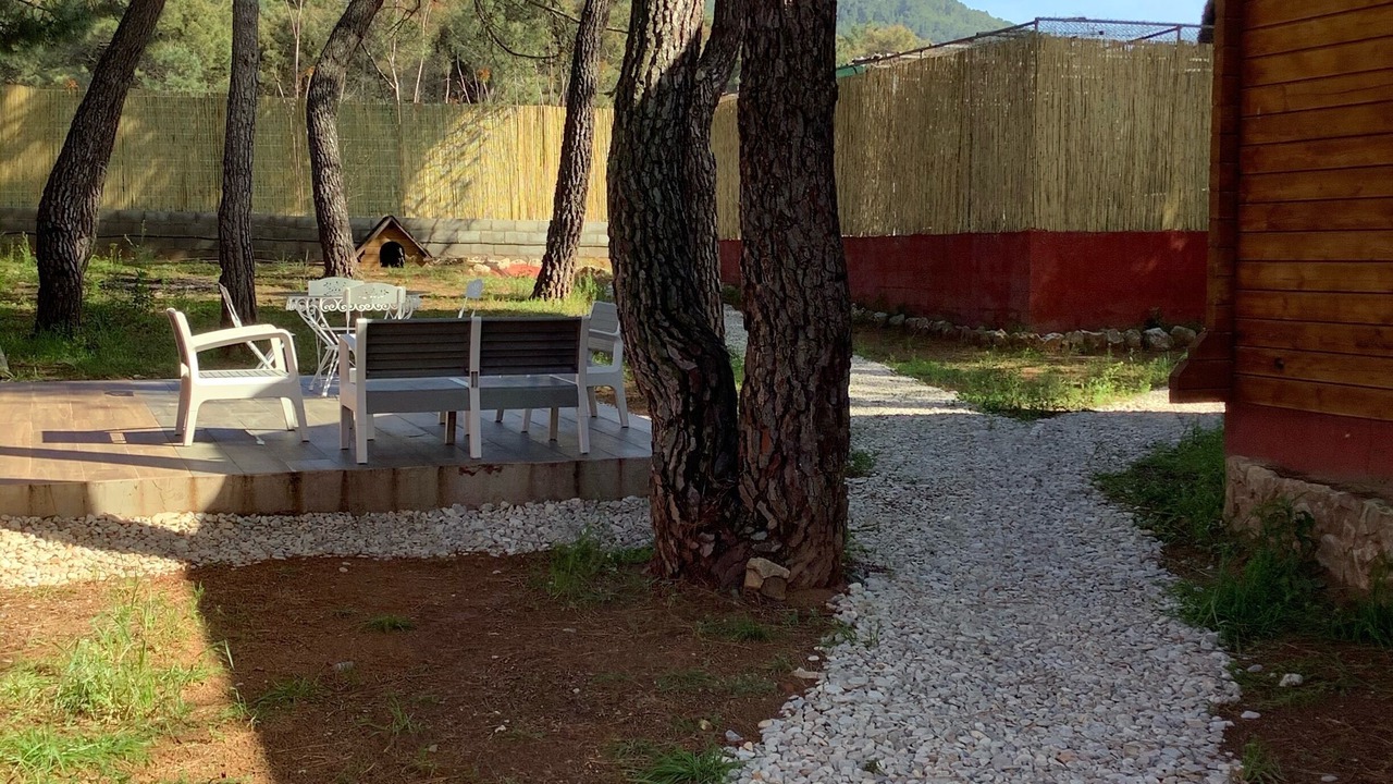 Photo of Outdoor in Puebla Tornesa