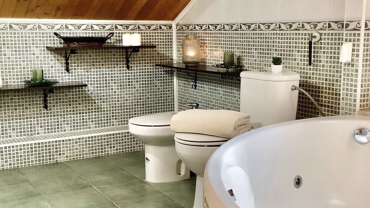 Photo of Bathroom in Puebla Tornesa