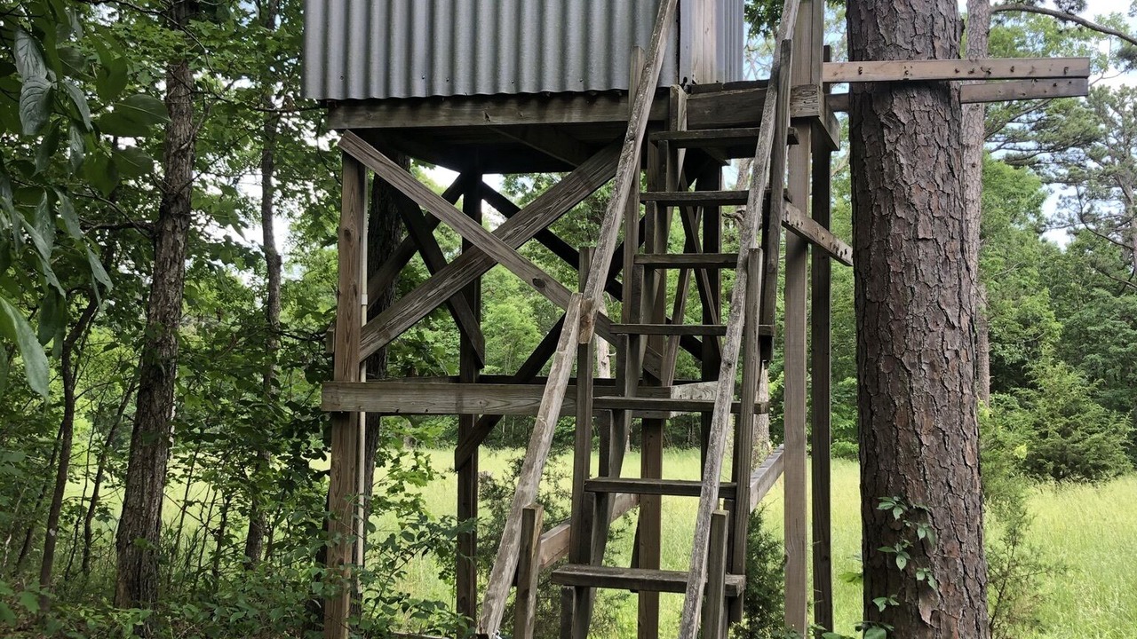 Photo of Outdoor in Harrison