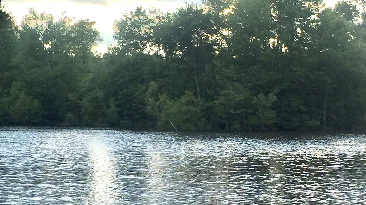 Photo of Outdoor in Stonehouse