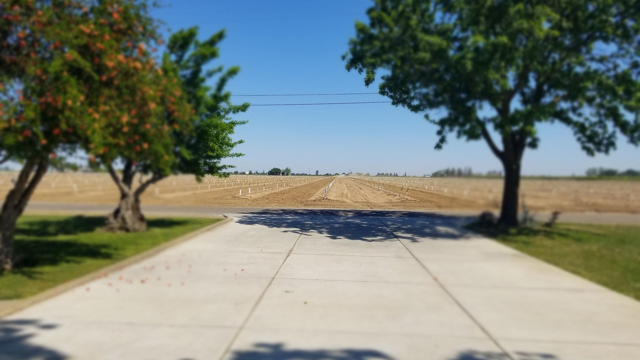 Photo of Others in Victor