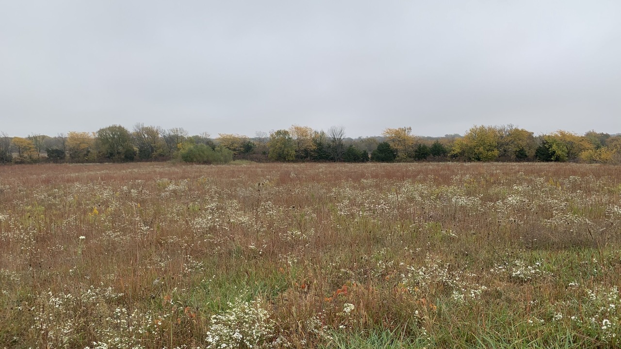 Photo of Outdoor in Lebo