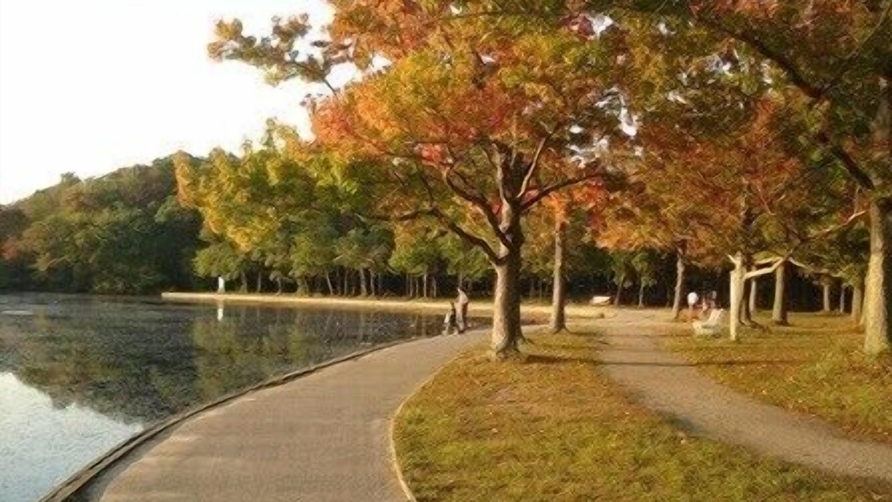 Photo of Outdoor in West Babylon