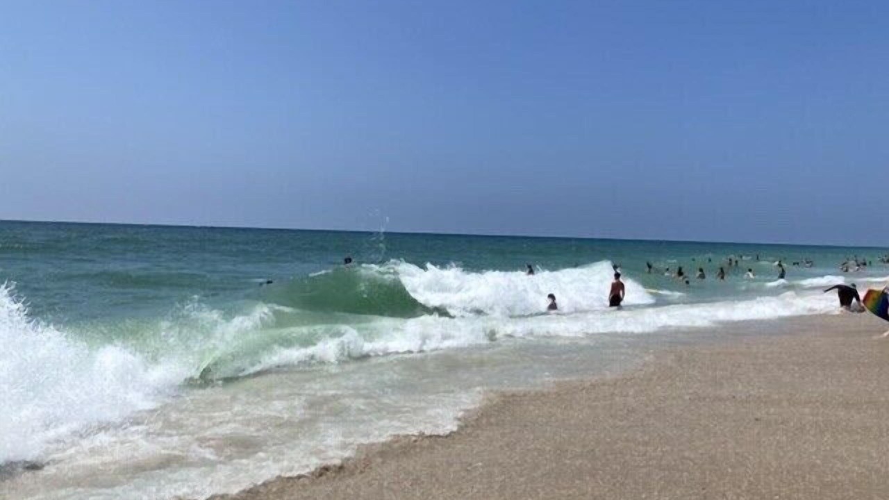 Photo of Others in West Babylon