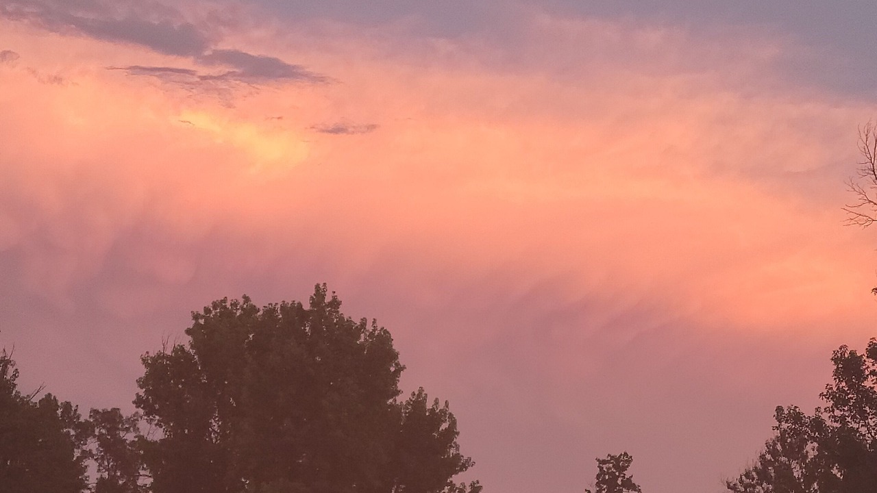 Photo of Outdoor in Winnsboro