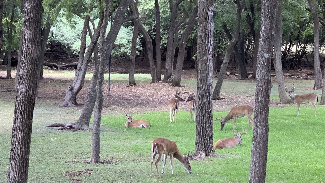 Photo of Outdoor in Salado