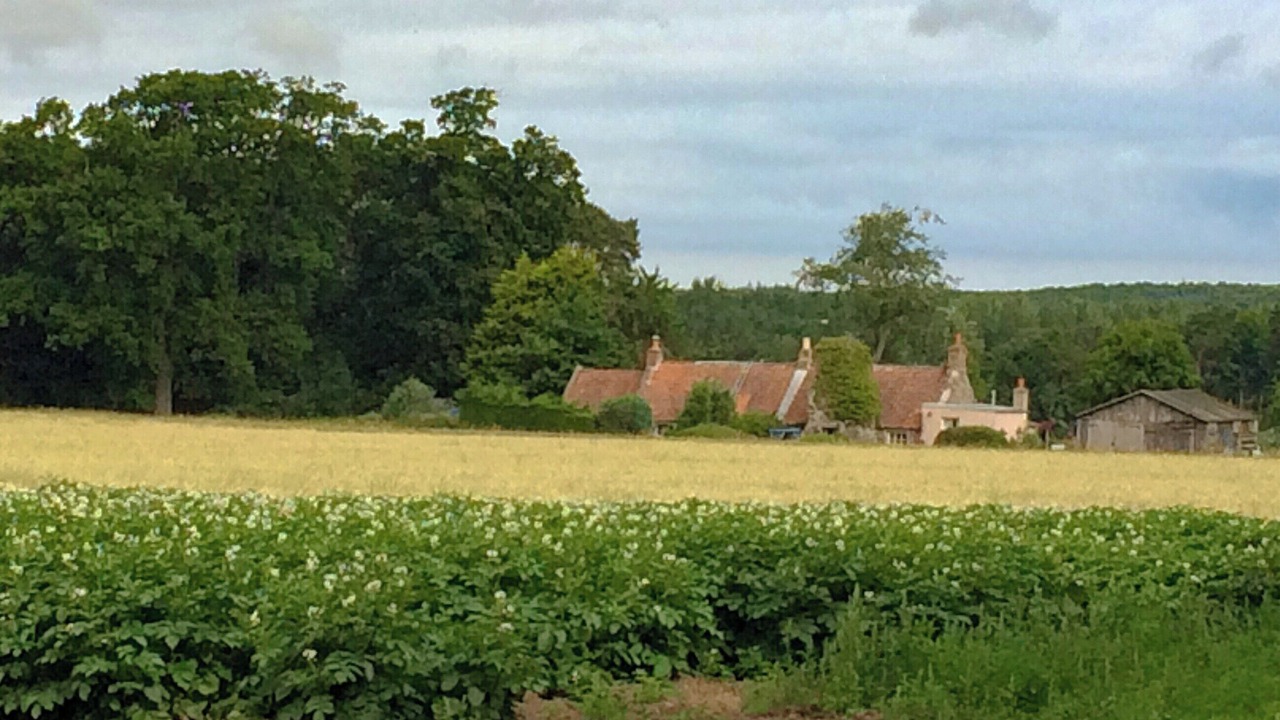 Photo of Others in East Linton