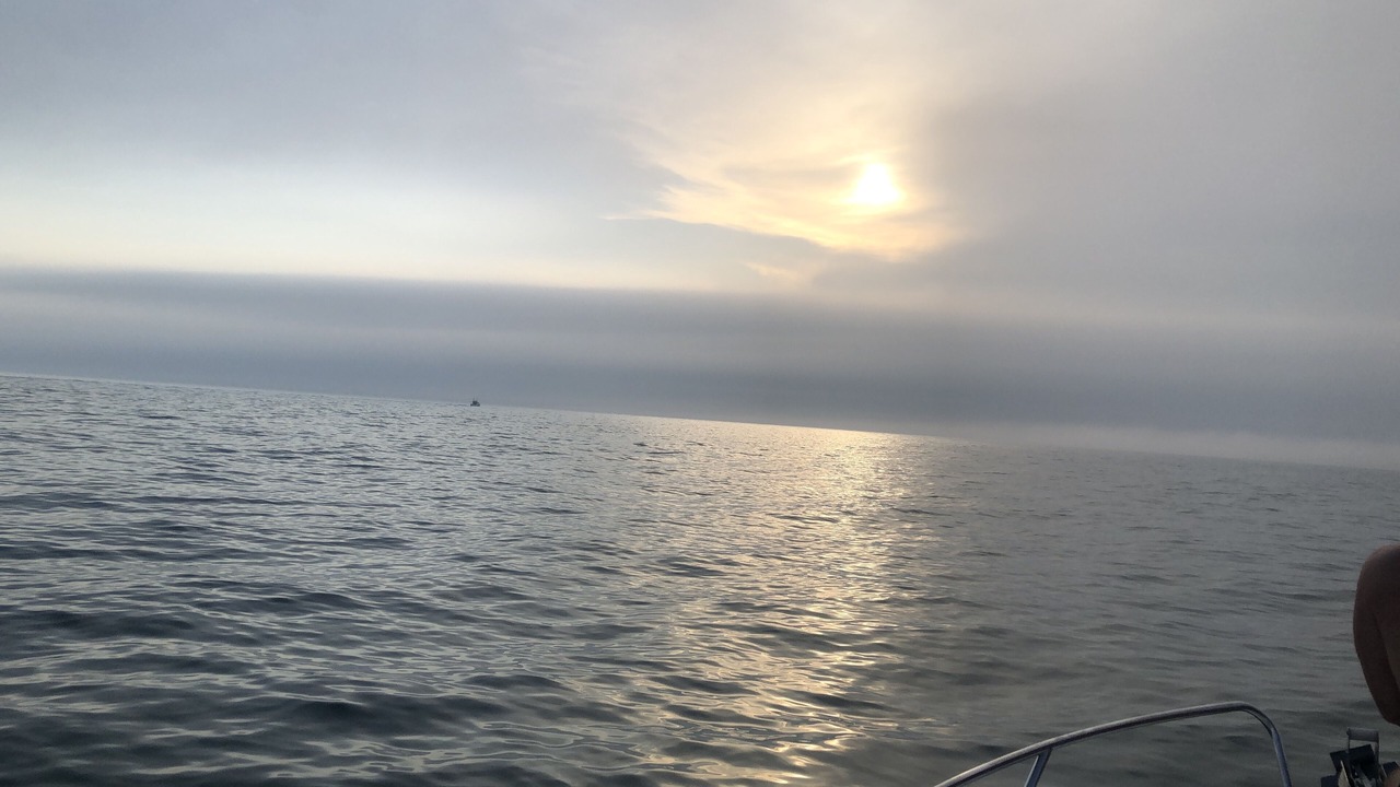 Photo of Others in Le Grau-Du-Roi