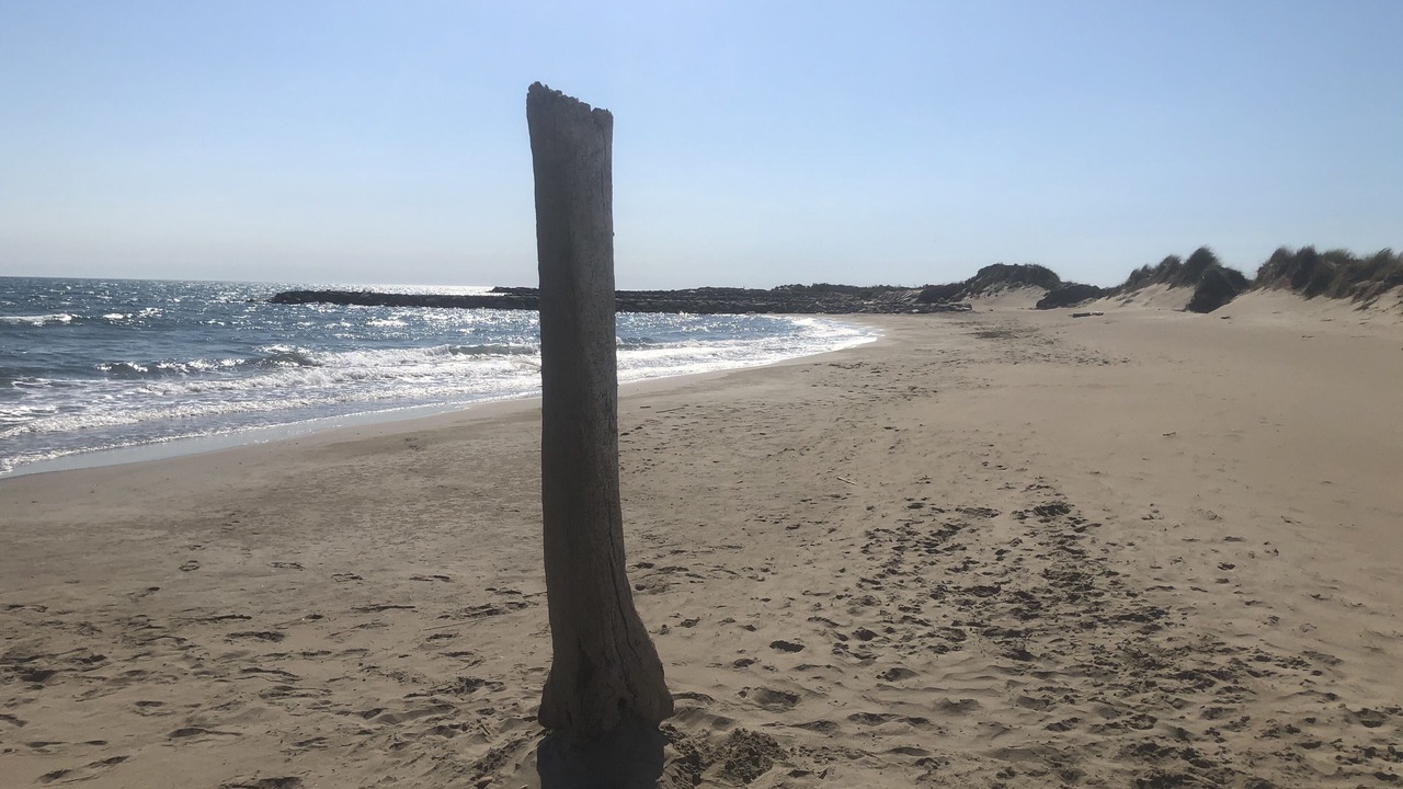 Photo of Others in Le Grau-Du-Roi