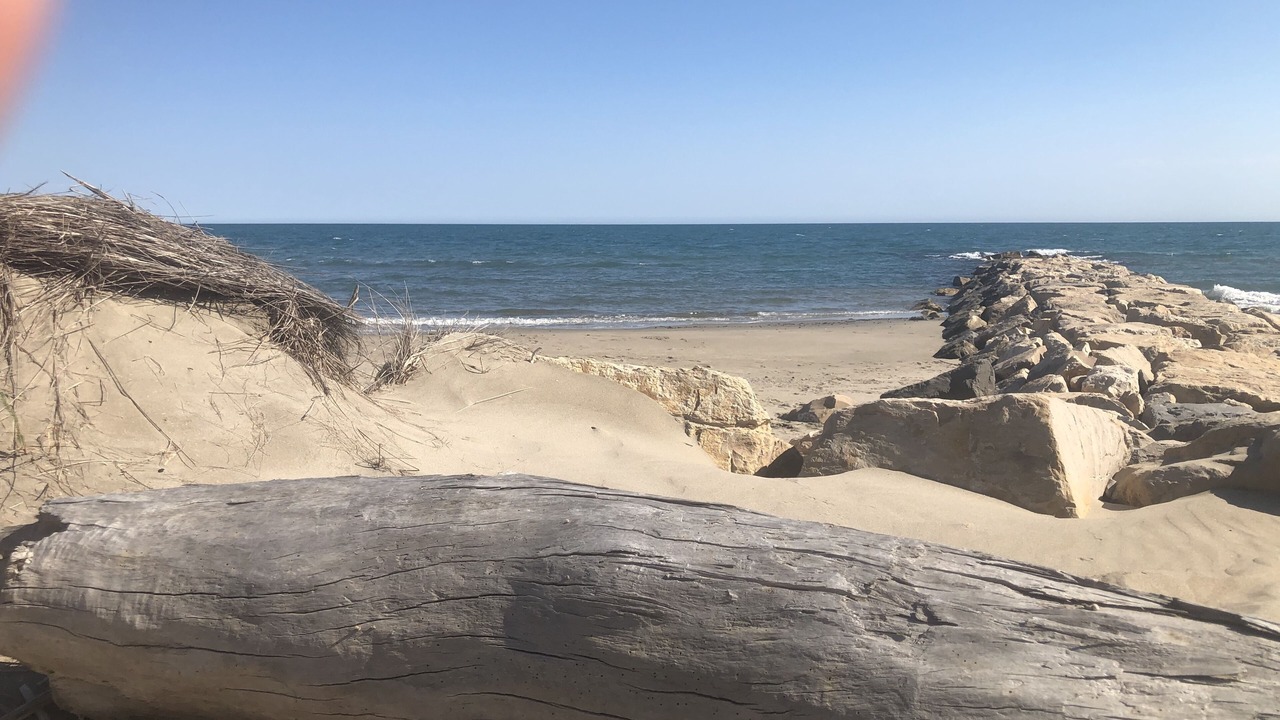 Photo of Others in Le Grau-Du-Roi