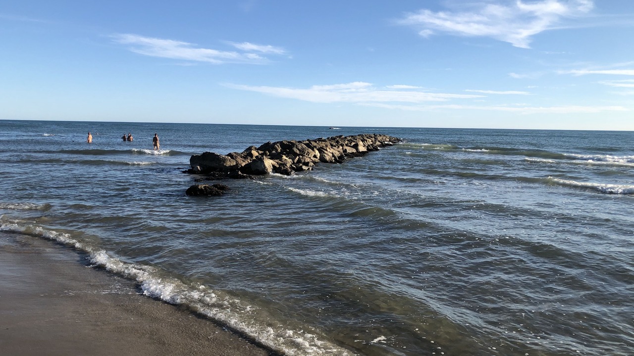 Photo of Others in Le Grau-Du-Roi