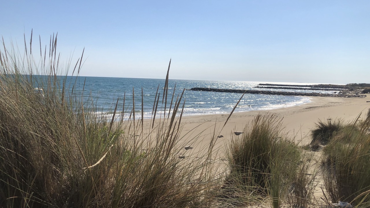 Photo of Others in Le Grau-Du-Roi