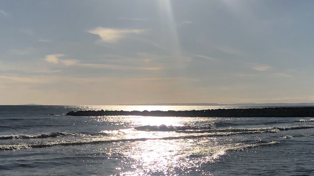 Photo of Others in Le Grau-Du-Roi