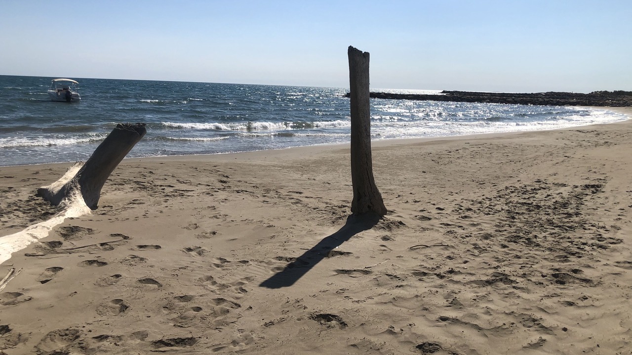 Photo of Others in Le Grau-Du-Roi