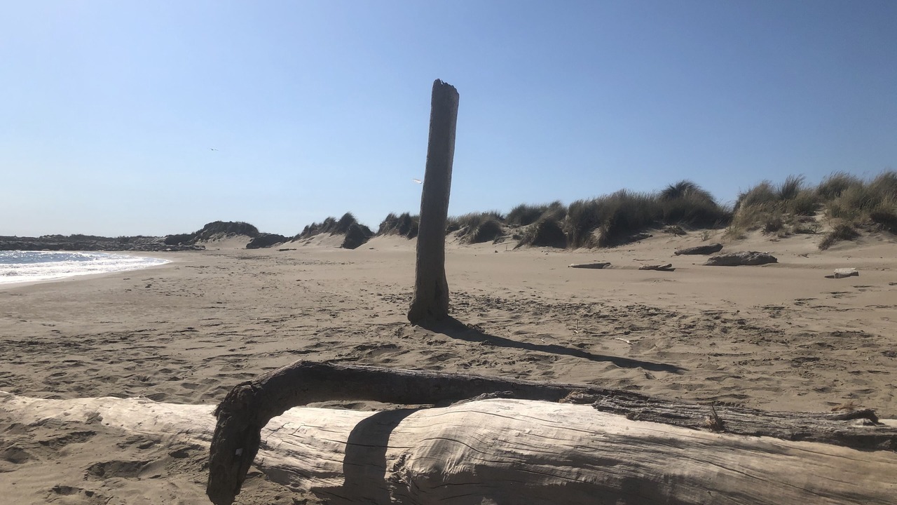 Photo of Others in Le Grau-Du-Roi