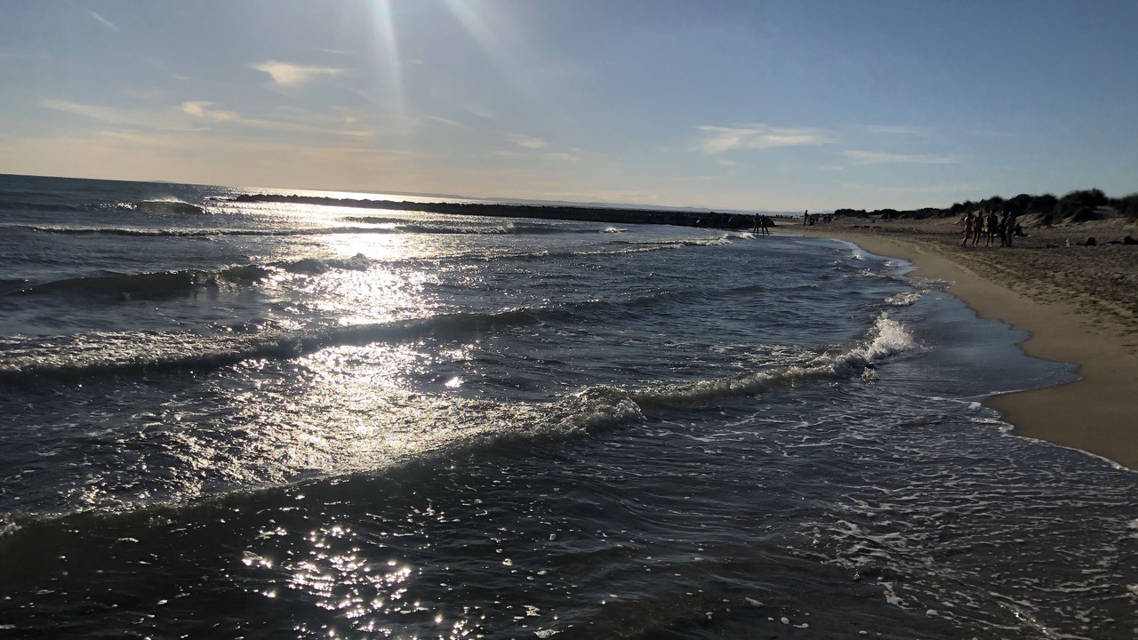 Photo of Others in Le Grau-Du-Roi