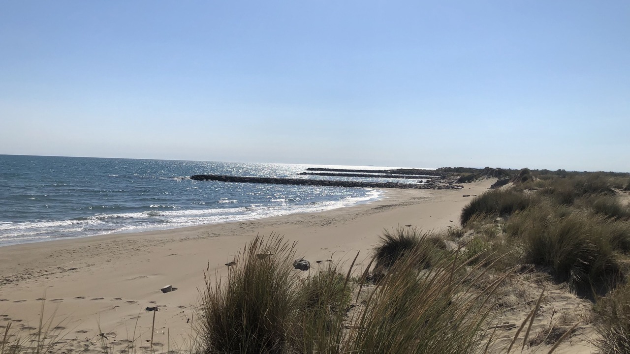 Photo of Others in Le Grau-Du-Roi