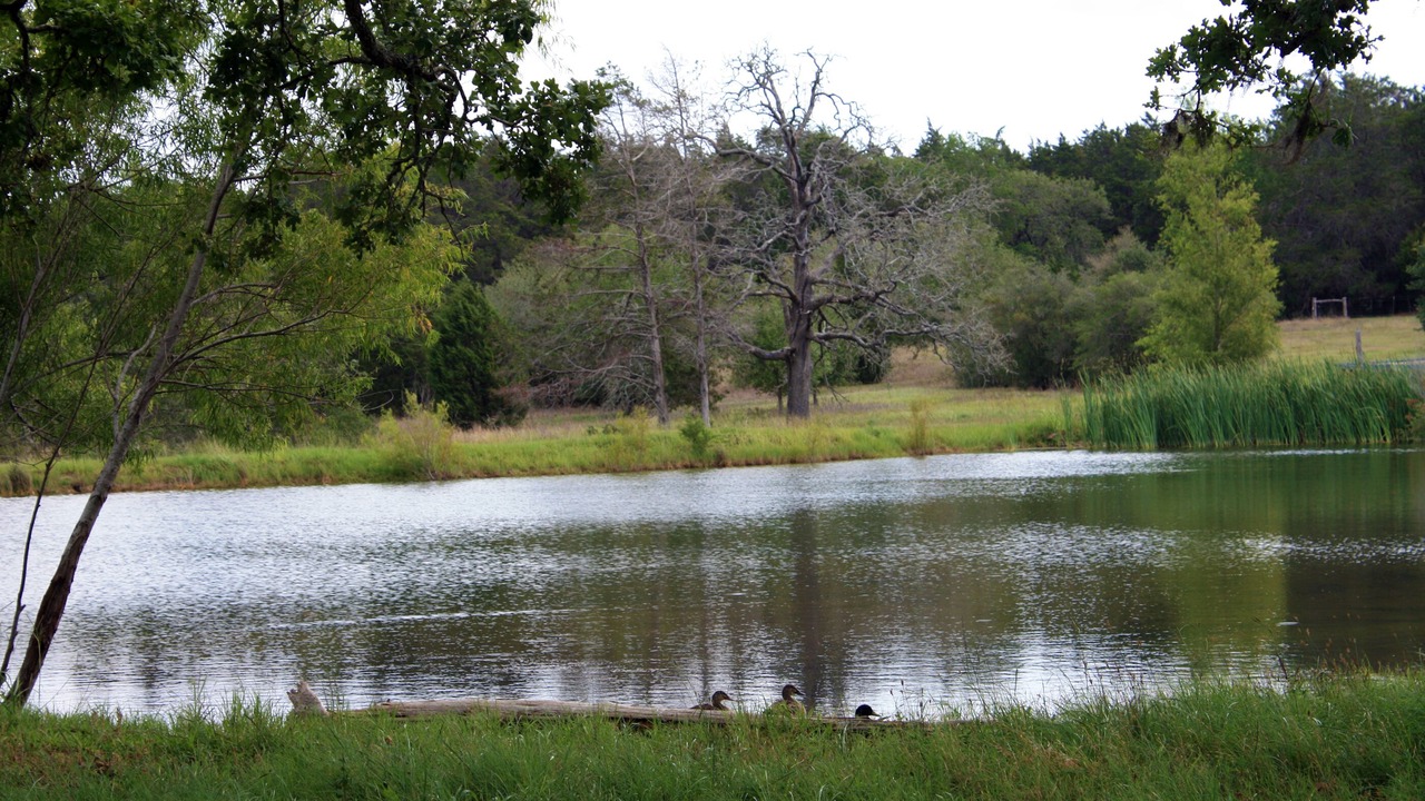 Photo of Outdoor in Fayetteville