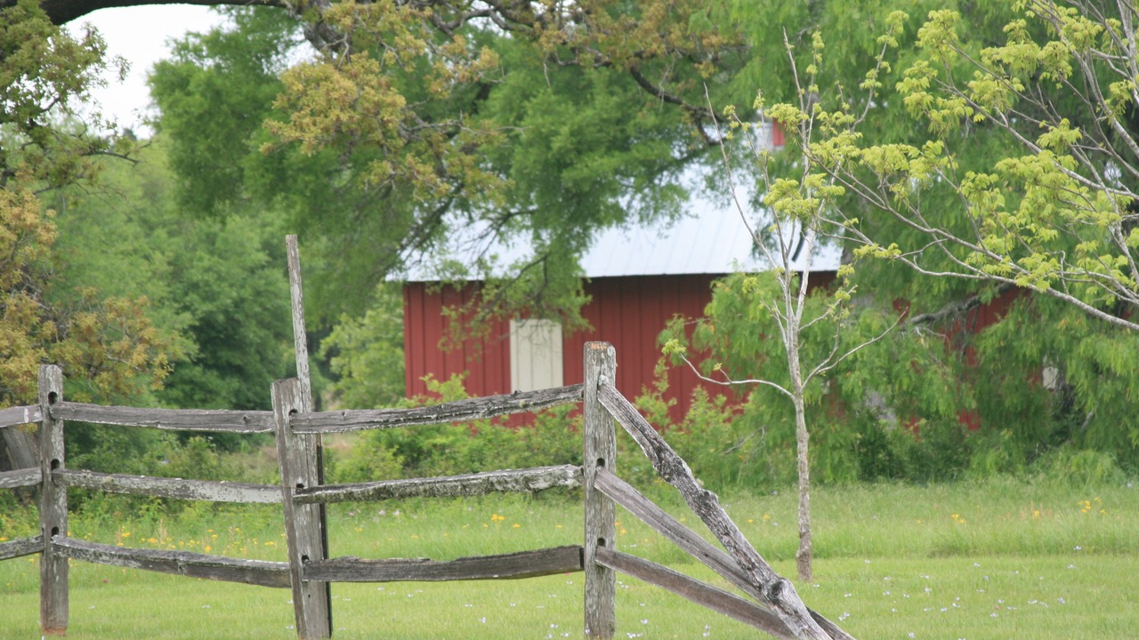 Photo of Outdoor in Fayetteville