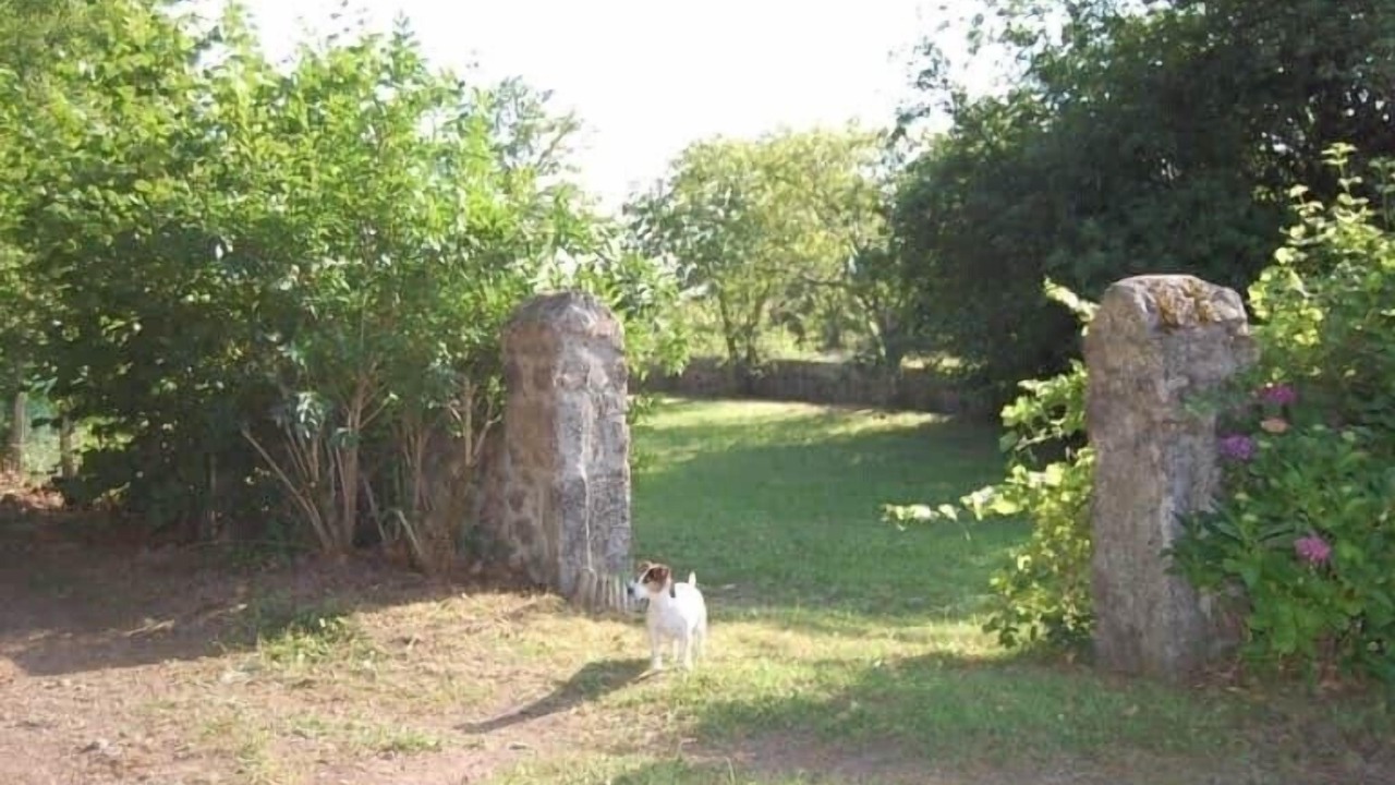 Photo of Outdoor in Alligny-en-Morvan