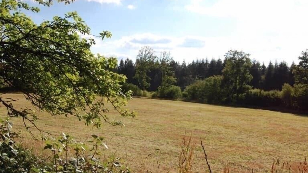 Photo of Outdoor in Alligny-en-Morvan