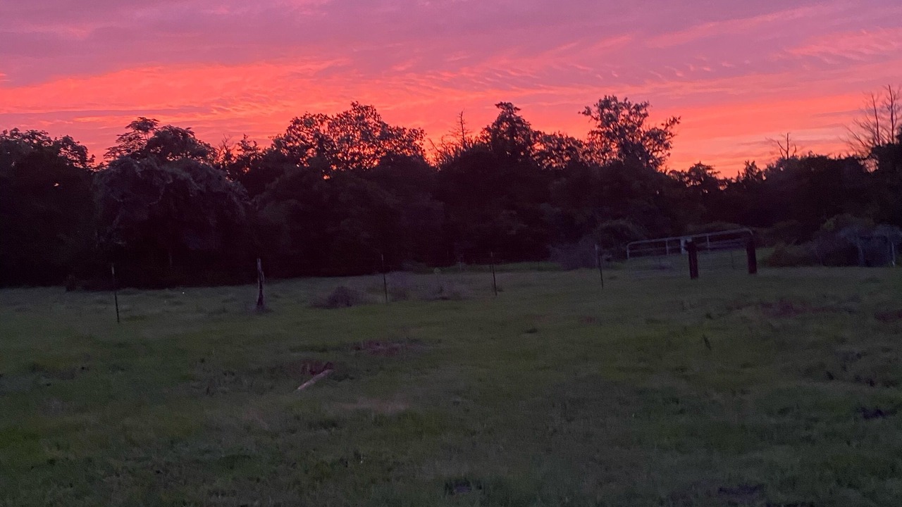 Photo of Outdoor in Flatonia