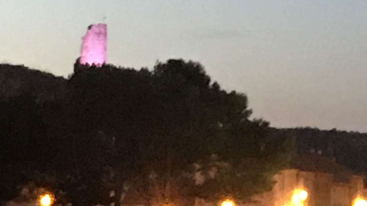 Photo of Others in Gruissan