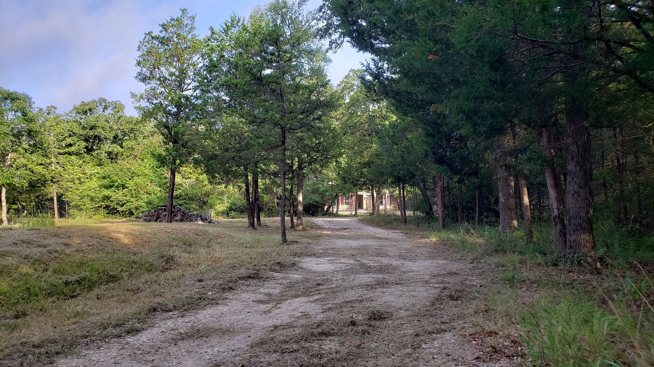Photo of Others in Bryan