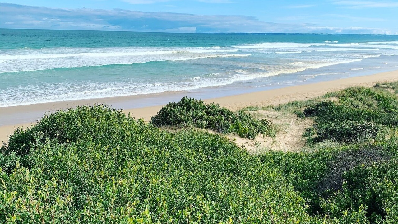 Photo of Others in Venus Bay