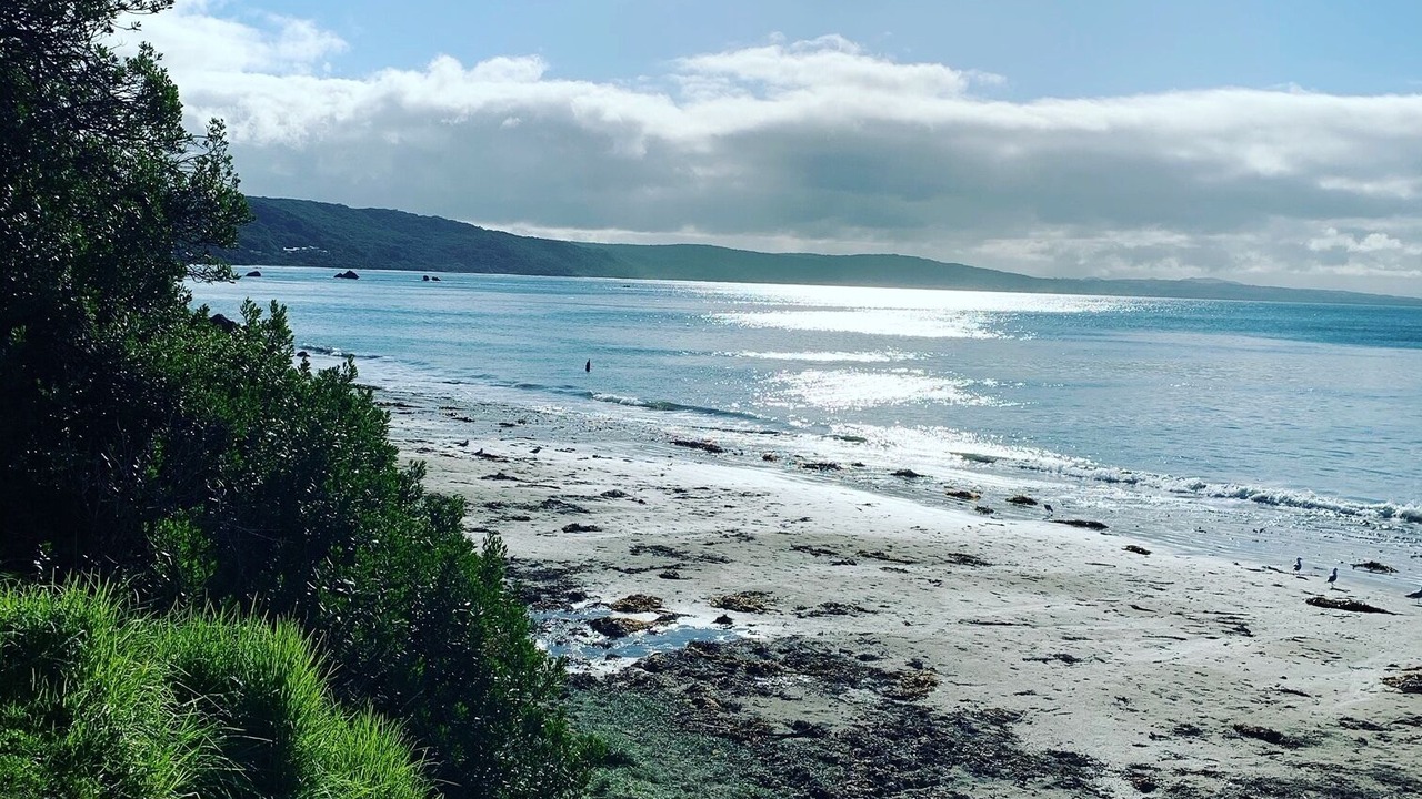 Photo of Others in Venus Bay