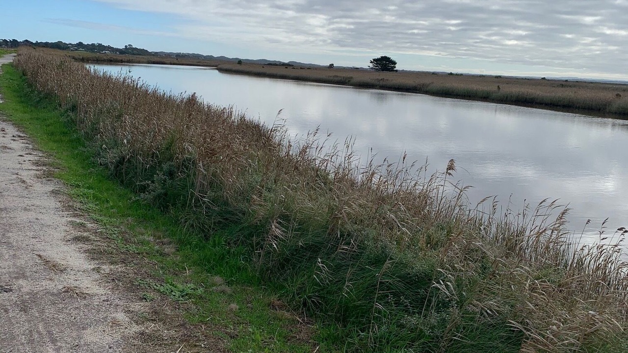 Photo of Others in Venus Bay