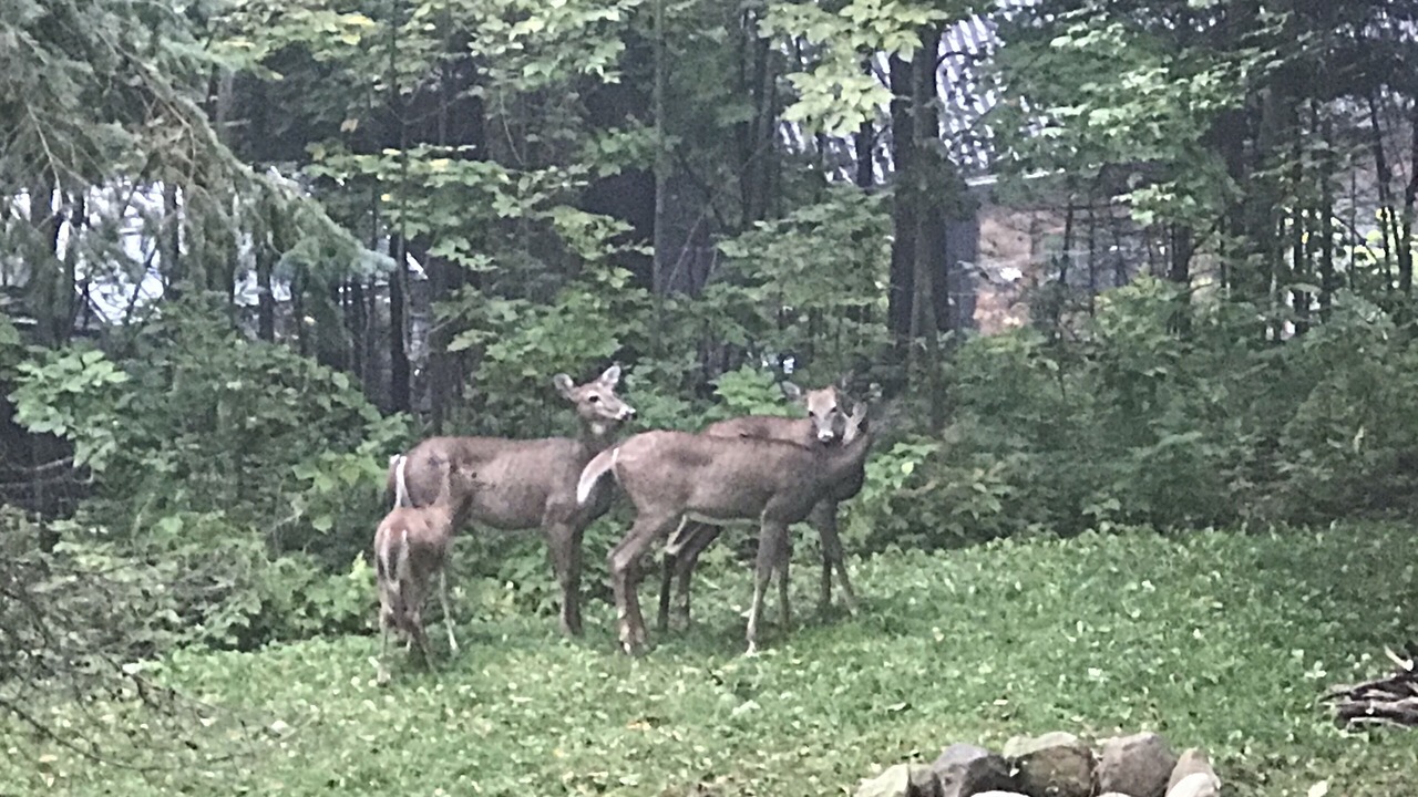 Photo of Others in Huntsville