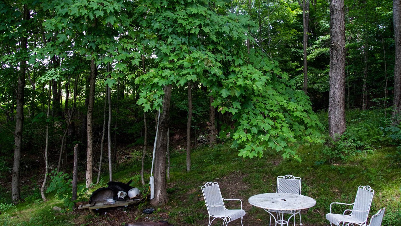 Photo of Outdoor in De Lancey