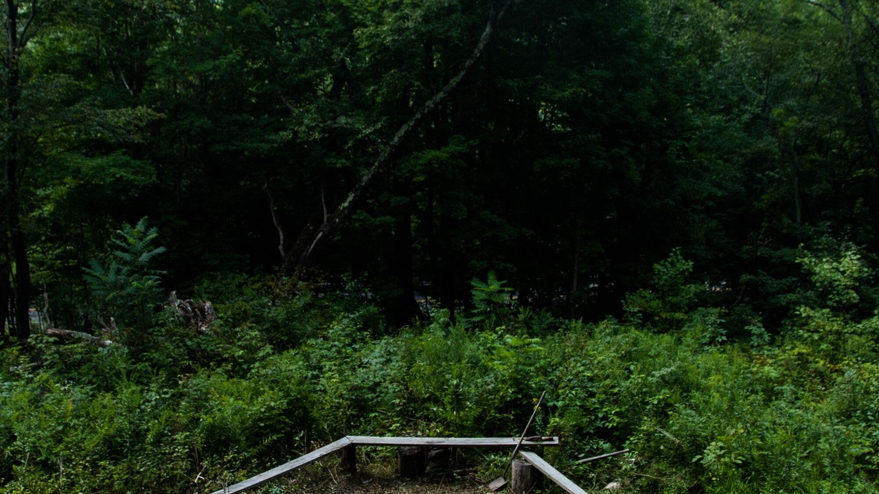 Photo of Outdoor in De Lancey